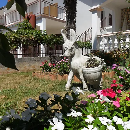 Appartement Cubric Pirovac